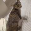 本人家中13只猫,在小区看到这个猫,心软抱走,找好心主人认领,希望善待这个小家伙