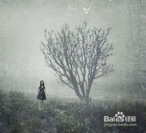 数码照片后期烹调大法