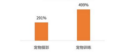 2024年宠物摄影市场前景分析：我国宠物摄影门店同比增速达290%以上