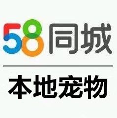店主头像