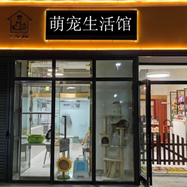 店主头像