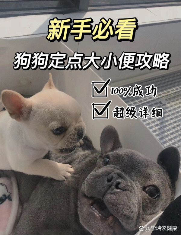 https://selfpage-gips.cdn.bcebos.com/ae1de879bb5d35883942aebaedd78ad5.jpg