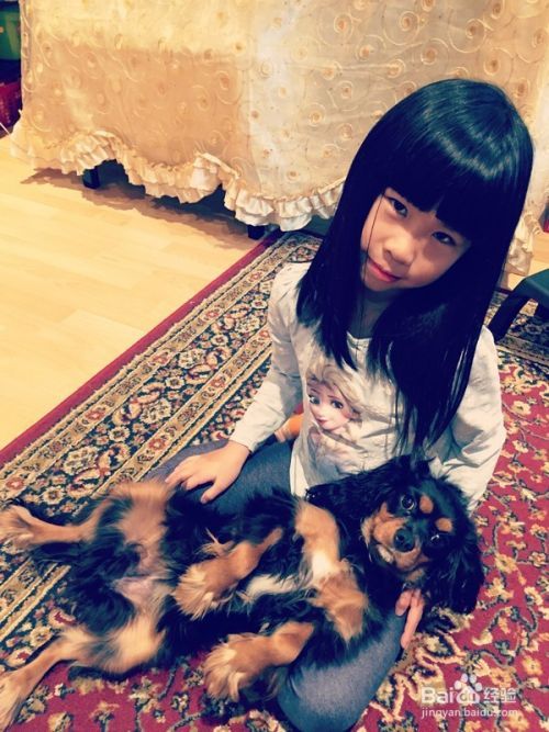 如何训练小狗大小便