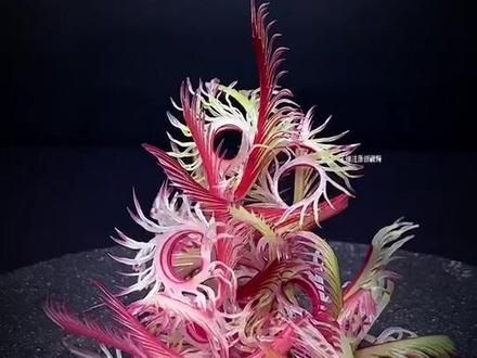 #刀工 #果蔬造型 #吃出仪式感 #摆盘技巧