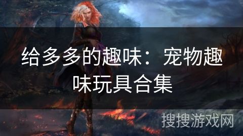 给多多的趣味：宠物趣味玩具合集