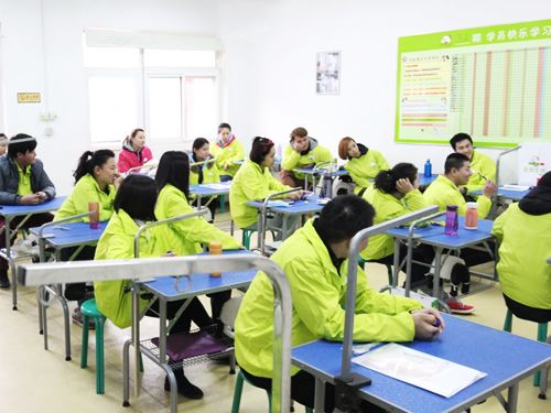 圣宠宠物34期班犬只行为学
