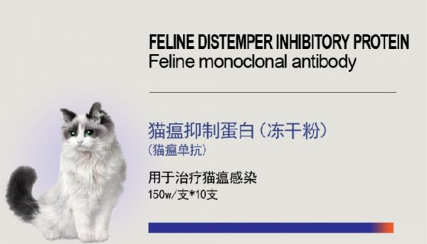 猫瘟（细小病毒FPV）全面解读，含猫细小致病机理与常见问题解惑