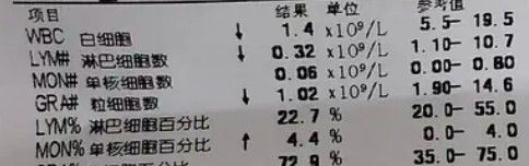 猫瘟（细小病毒FPV）全面解读，含猫细小致病机理与常见问题解惑