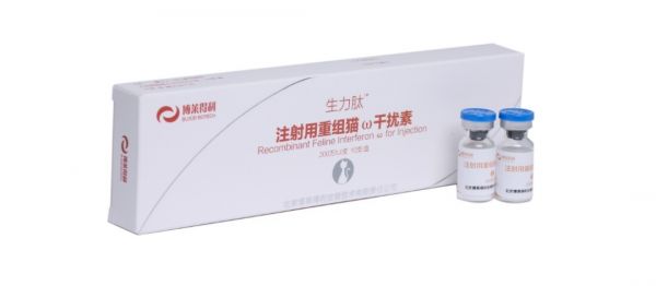 猫瘟（细小病毒FPV）全面解读，含猫细小致病机理与常见问题解惑
