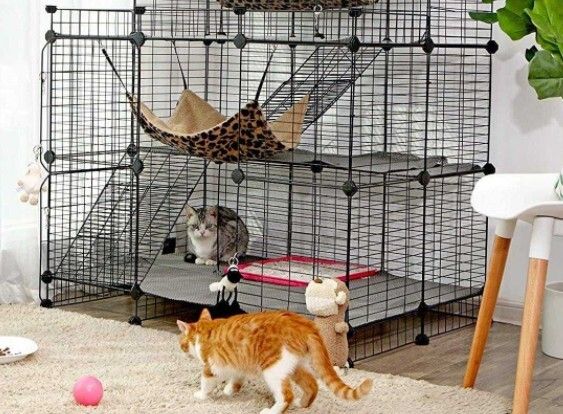 猫瘟（细小病毒FPV）全面解读，含猫细小致病机理与常见问题解惑