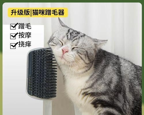猫咪玩具的重要作用（如何选择适合宠物的玩具）