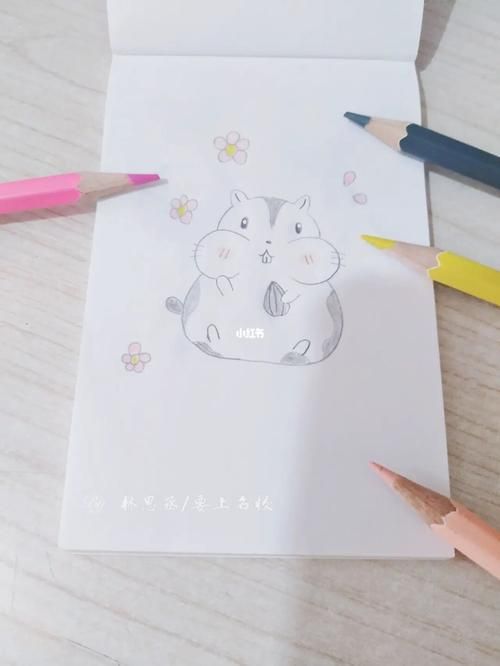 小仓鼠简笔画第三张简笔画仓鼠可爱简笔画文化