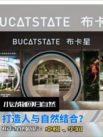 能在高端商场活跃的小动物是什么样的？ #仓鼠 #宠物 #宠物店设计 #兔子 #鹦鹉