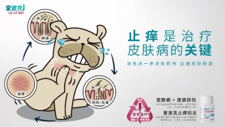 炎热夏季，爱波克助你解决狗狗皮肤病！(图1)