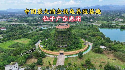 中国最大的金钱龟养殖基地，占地面积300多亩，耗资1.8亿建造