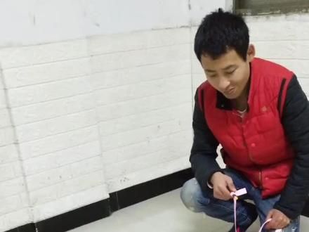 #宠物 拔河比赛四两拨千斤