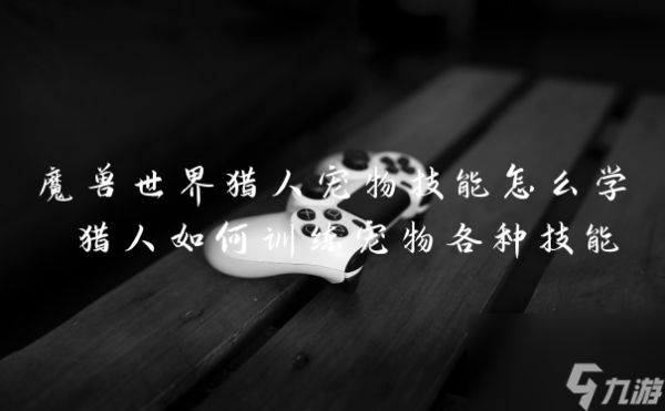 魔兽世界猎人宠物技能怎么学 猎人如何训练宠物各种技能