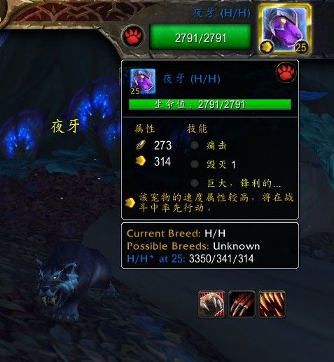 魔兽世界炽蓝仙野宠物训练师位置攻略