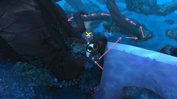 魔兽世界炽蓝仙野宠物训练师位置攻略