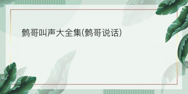 鹩哥叫声大全集(鹩哥说话)