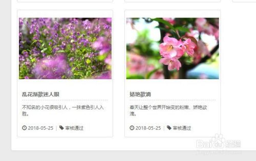 怎么参加摄影比赛怎么投稿