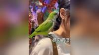 前方高能,爱丽丝萌宠秘境的萌宠驯养师们与萌宠的互动日常来啦