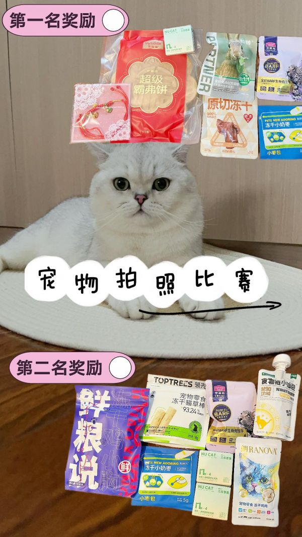 宠物拍照比赛。请看大屏幕:评论区发自家宝宝照片,点赞最多的分出第一第二!! 时间:7.30-8.5 第一第二٩( 'ω' )و get!小#抖in萌宠计划 #萌宠出道计划 #评论区看看你们的猫 #这个世界不能没有小猫 #我和我的猫