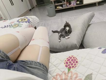 多喜乐常安宁#猫咪 #小猫日记