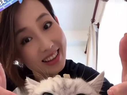 秦海璐和她的邪恶银渐层 #芬儿头 #芬儿头是猫不是猪 #萌宠出道计划 #抖in萌宠计划 #谁能拒绝傻憨憨的小猫咪