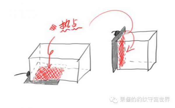 豹纹守宫饲养温度要求（豹纹守宫加温注意事项）