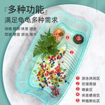 小乌龟活宠物观赏家养中华草龟珍珠巴西花龟网红好幼龟苗耐活体