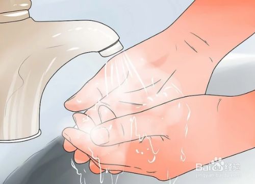 如何抚摸和照顾宠物乌龟