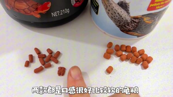 乌龟发色粮推荐与对比评测,谈谈我最爱的两款发色粮!