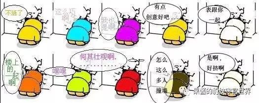 睫角守宫和豹纹守宫哪个好养(睫角守宫和豹纹守宫的区别)