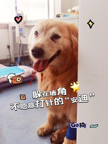 家有萌宠，生活多欢乐