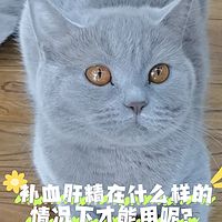 猫咪什么时候才能吃补血肝精