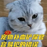 宠物补血，铲屎官容易犯的两个错误
