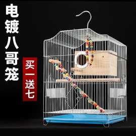 虎皮鹦鹉鸟笼大号电镀八哥鹩哥玄凤牡丹家用观赏金属鸟笼子繁殖笼