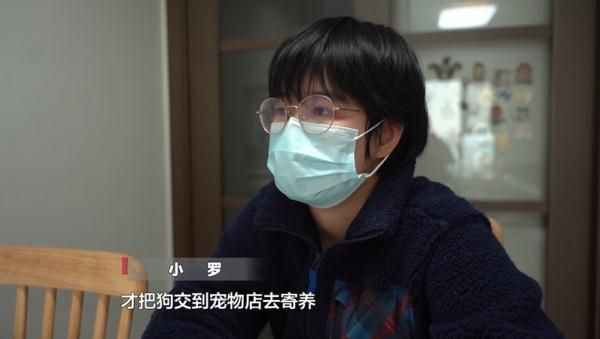 爱犬寄养被弄丢，抓捕时还受了伤！索赔被拒，律师提醒：这样的合同......