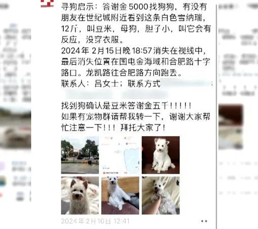 爱犬寄养被弄丢，抓捕时还受了伤！索赔被拒，律师提醒：这样的合同......