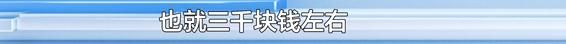 爱犬寄养被弄丢，抓捕时还受了伤！索赔被拒，律师提醒：这样的合同......
