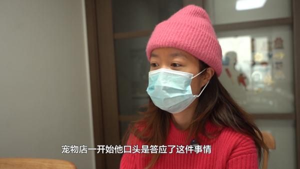爱犬寄养被弄丢，抓捕时还受了伤！索赔被拒，律师提醒：这样的合同......