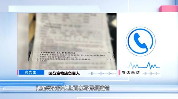 爱犬寄养被弄丢，抓捕时还受了伤！索赔被拒，律师提醒：这样的合同......