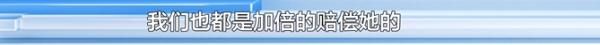 爱犬寄养被弄丢，抓捕时还受了伤！索赔被拒，律师提醒：这样的合同......