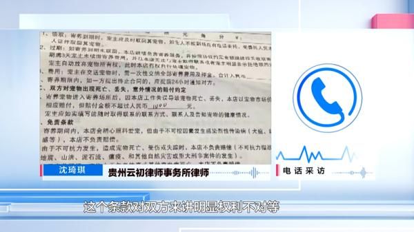 爱犬寄养被弄丢，抓捕时还受了伤！索赔被拒，律师提醒：这样的合同......
