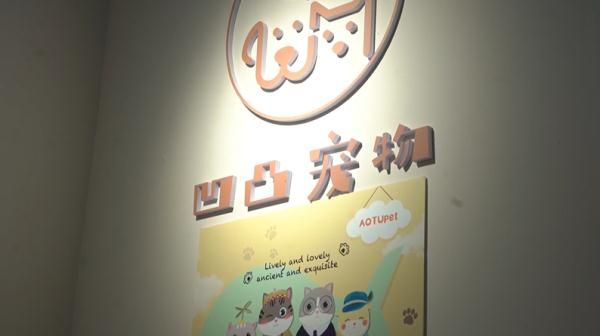 爱犬寄养被弄丢，抓捕时还受了伤！索赔被拒，律师提醒：这样的合同......