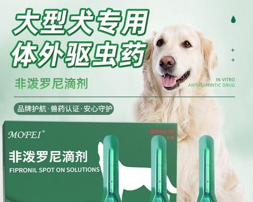 家里的宠物有跳蚤怎么办（宠物跳蚤问题解决方法大全）