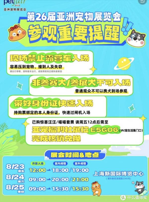 你们看到这只超超超级可爱的鹦鹉了吗
