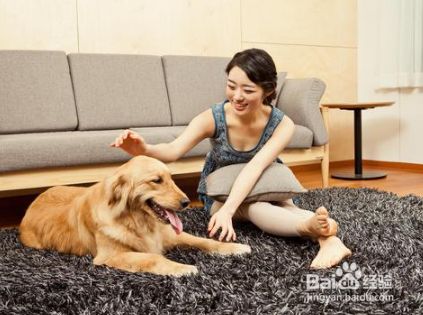 考虑养宠物之前的研究要点