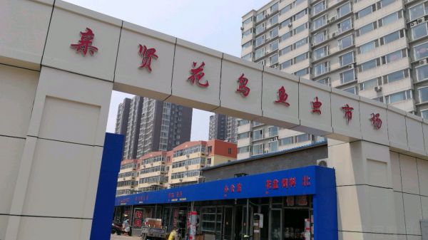 太原宠物市场